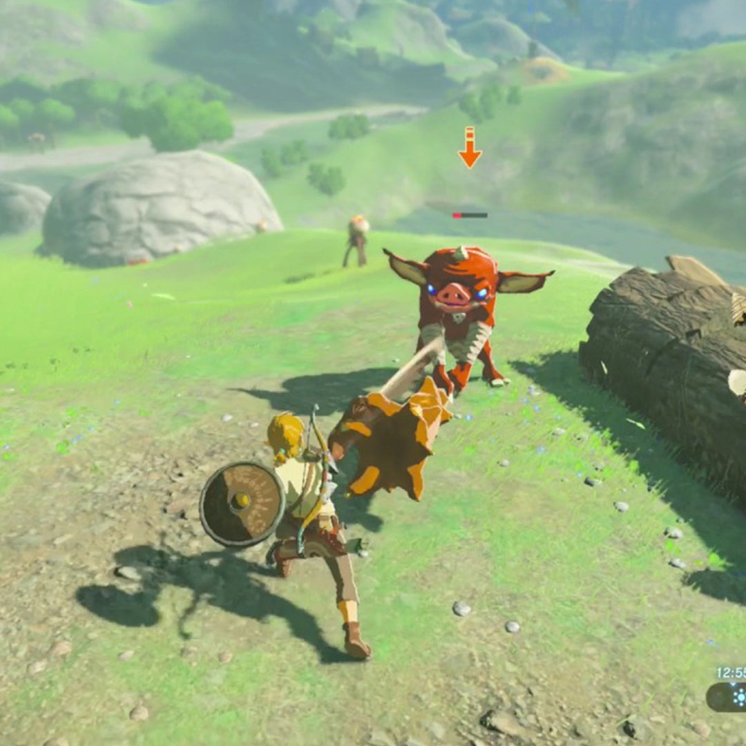 The Legend of Zelda: Breath Of The Wild - Nintendo Switch