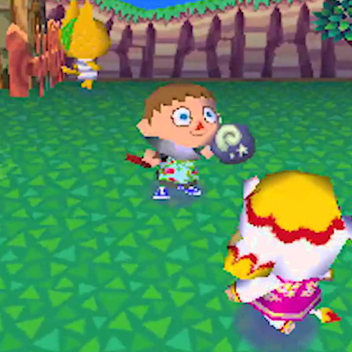 Animal Crossing: Wild World – DS Game