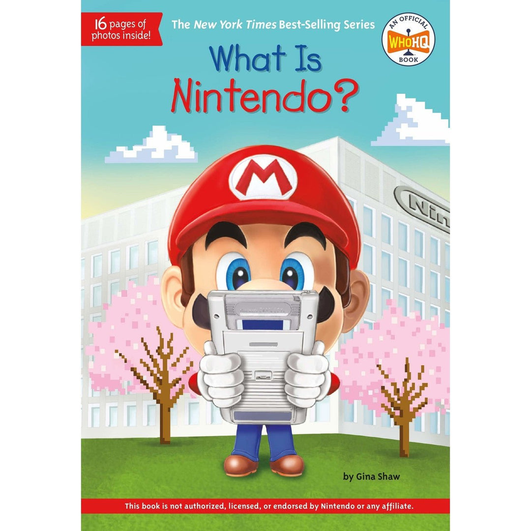 What is Nintendo?