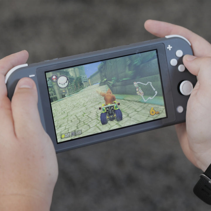 Nintendo Switch Lite Console