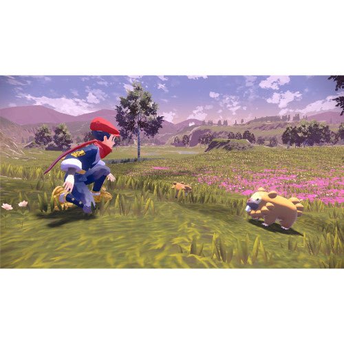 Leyendas Pokémon: Arceus Switch (Retro Fam)