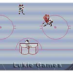 Pro Sport Hockey - SNES Game | Retrolio Games