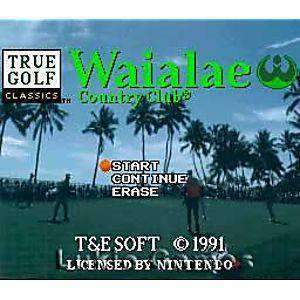 Waialae Country Club Golf - Juego de SNES (Retro Fam) - Image 2
