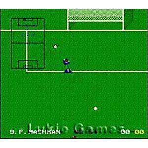 World League Soccer - SNES Game | Retrolio Games