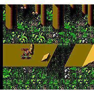 Thrilla's Surfari - NES Game | Retrolio Games