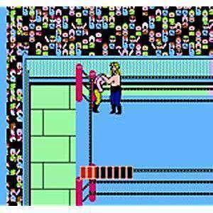 World Championship Wrestling - NES Game | Retrolio Games
