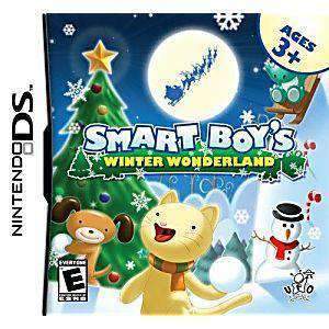 Smart Boy's Winter Wonderland DS Game - DS Game | Retrolio Games
