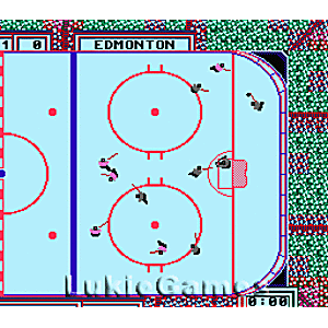 Wayne Gretzky Hockey - NES Game | Retrolio Games