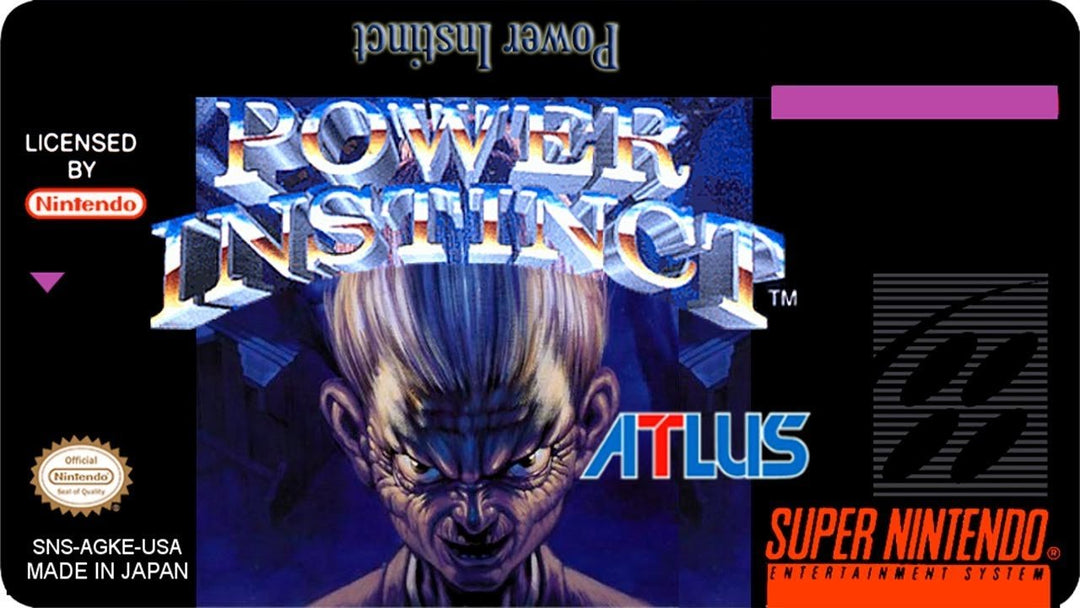 Power Instinct  – SNES Game (Retro Fam)