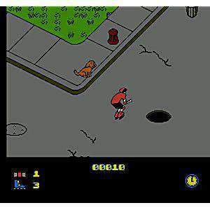 Rollerblade Racer - NES Game | Retrolio Games