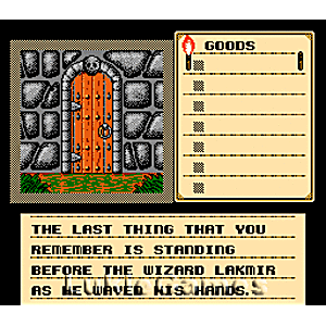 Shadowgate - NES Game | Retrolio Games