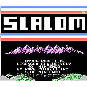Slalom - NES Game | Retrolio Games