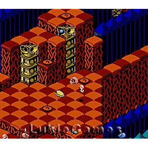 Snake Rattle Roll - NES Game | Retrolio Games