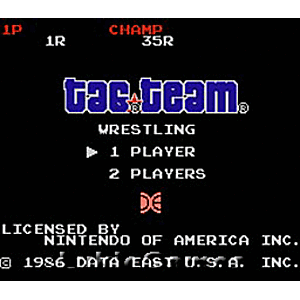 Tag Team Wrestling - NES Game | Retrolio Games