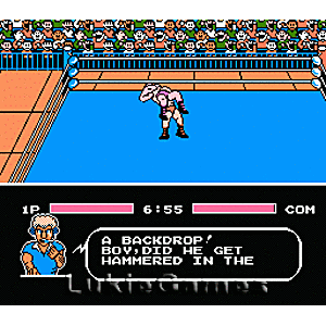 Tecmo Wrestling - NES Game | Retrolio Games