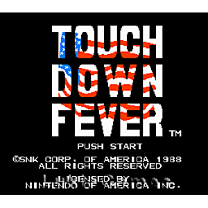 Touchdown Fever - NES Game | Retrolio Games