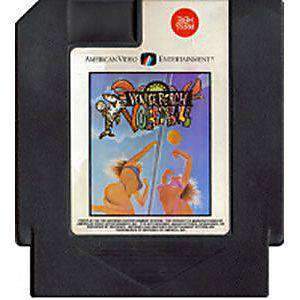 Venice Beach Volleyball - NES Game | Retrolio Games