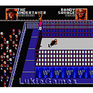 Wrestlemania Steel Cage - NES Game | Retrolio Games